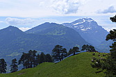 p1000003.jpg
