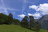 p1000005.jpg