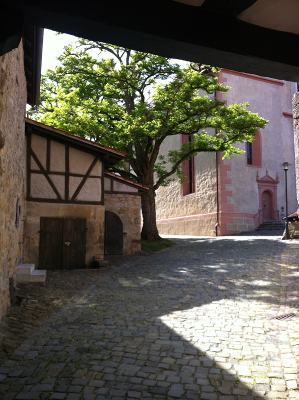 img_4123.jpg