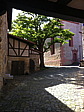 img_4123.jpg