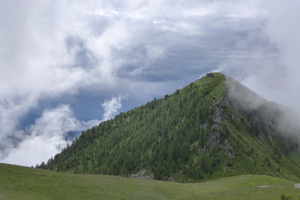 p1000613.jpg