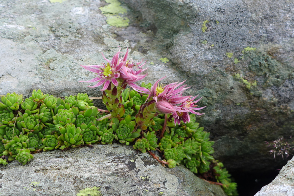 p1000614.jpg