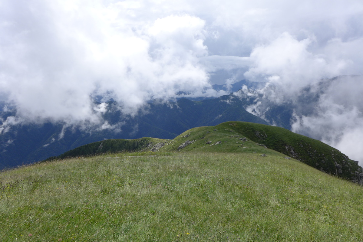 p1000629.jpg
