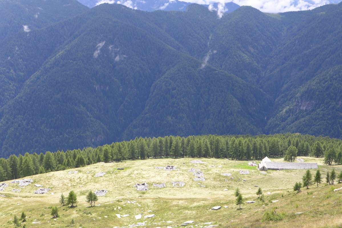 p1000634.jpg