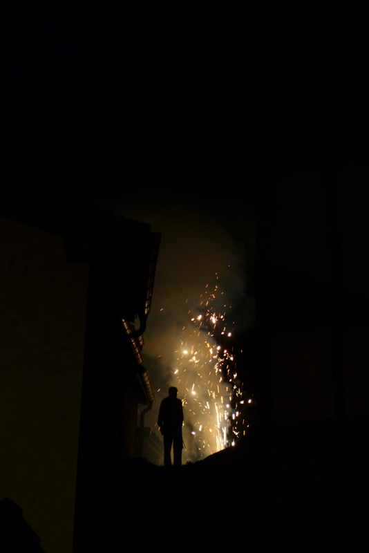 p1000659.jpg