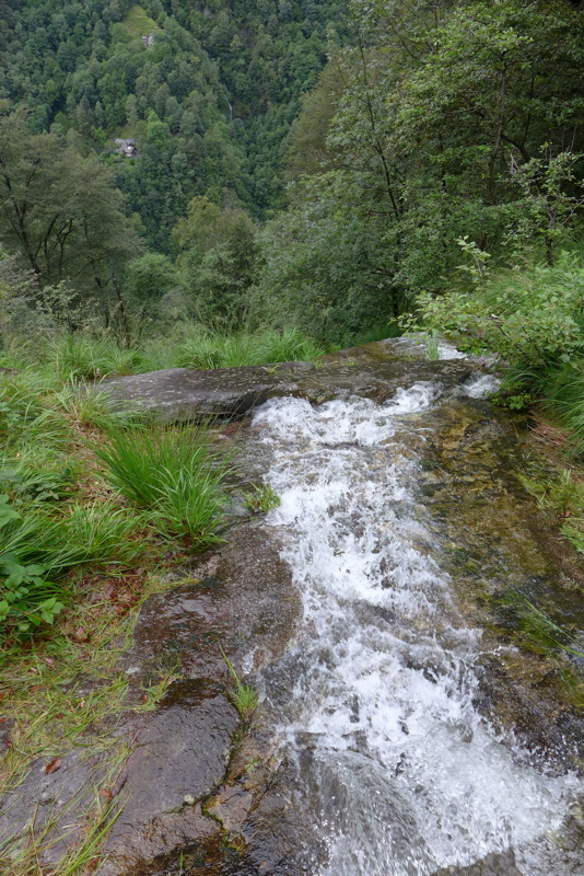 p1000667.jpg
