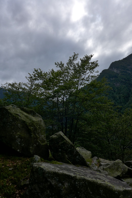 p1000669.jpg