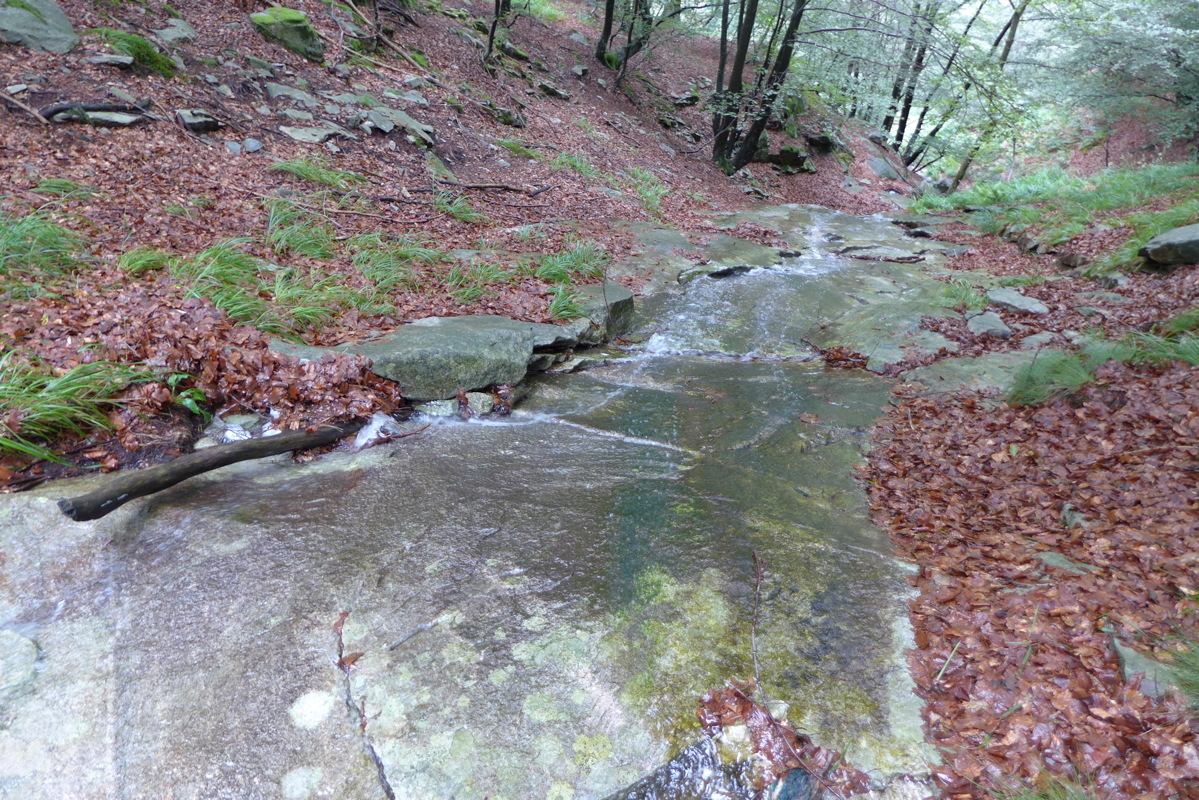 p1000670.jpg