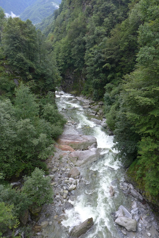 p1000676.jpg