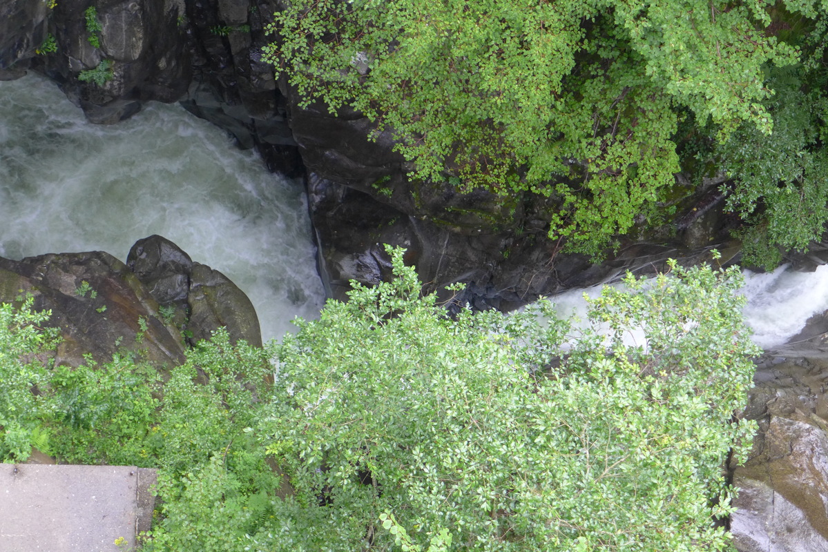 p1000680.jpg