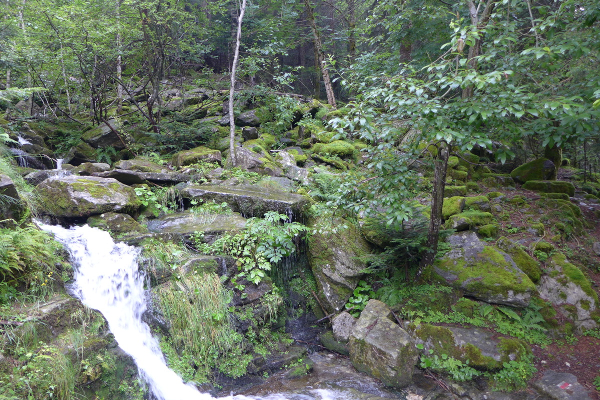 p1000684.jpg