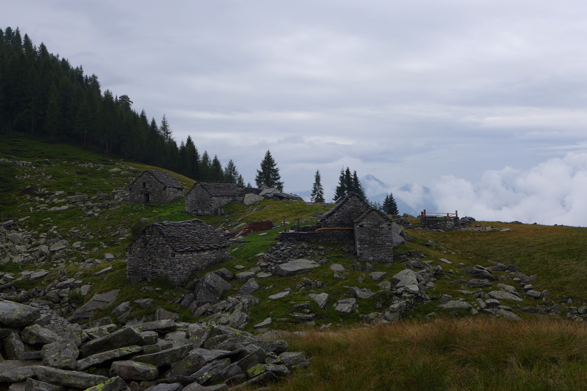 p1000693.jpg