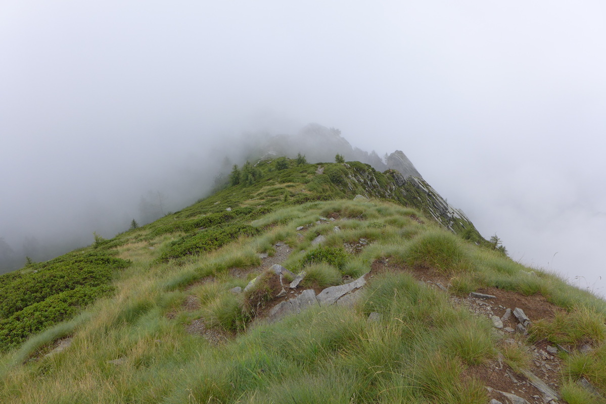 p1000696.jpg