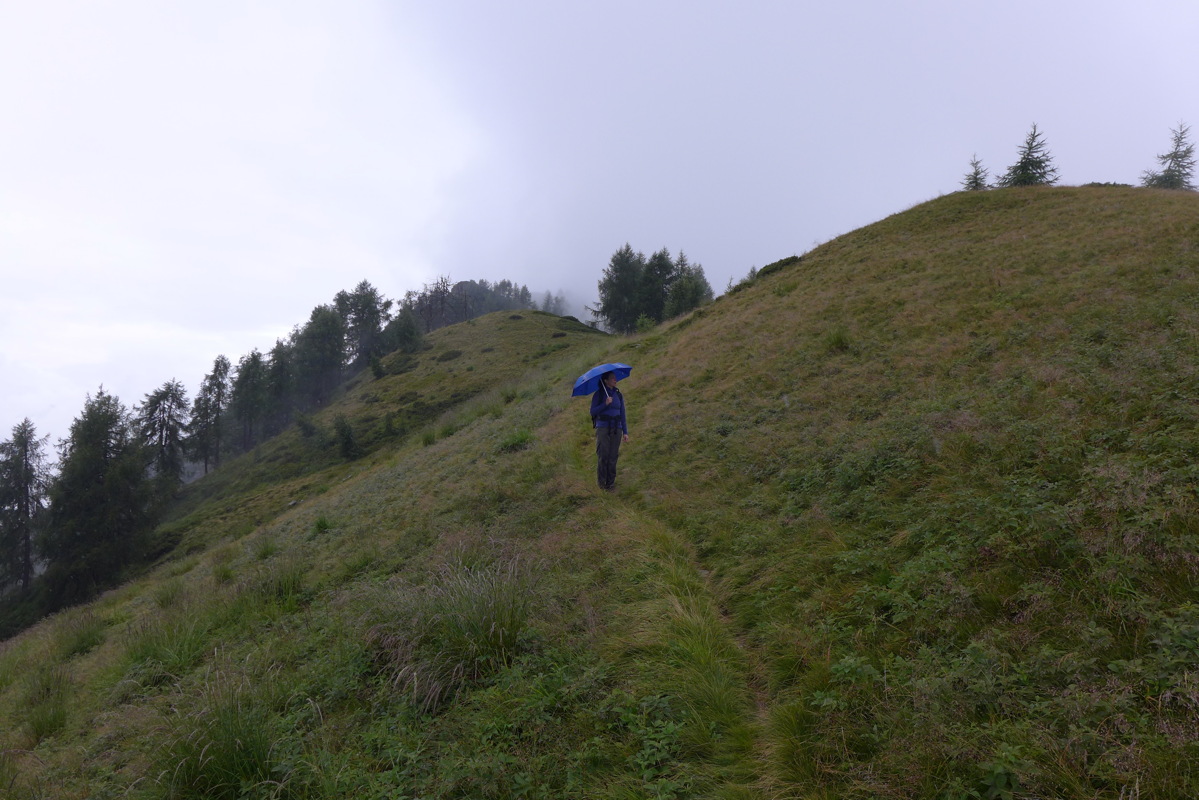 p1000697.jpg