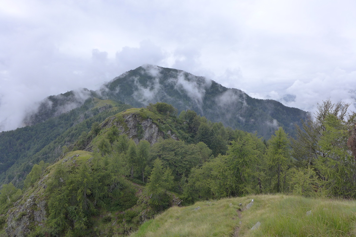 p1000700.jpg