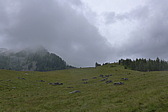 p1000605.jpg