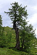 p1000611.jpg
