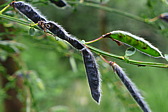p1000645.jpg