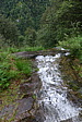 p1000667.jpg