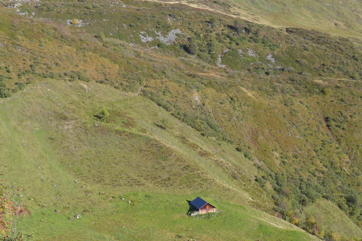 p1010071.jpg
