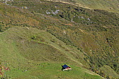 p1010071.jpg
