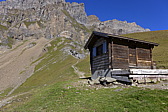 p1010078.jpg