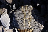 p1010111.jpg