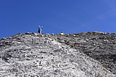 p1010122.jpg