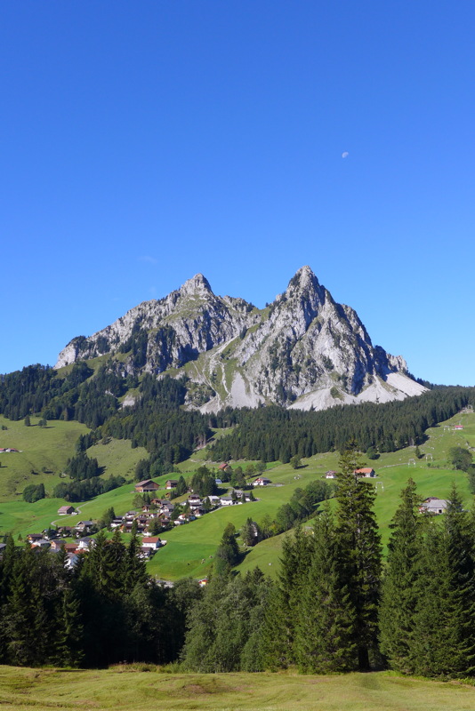 p1000949.jpg