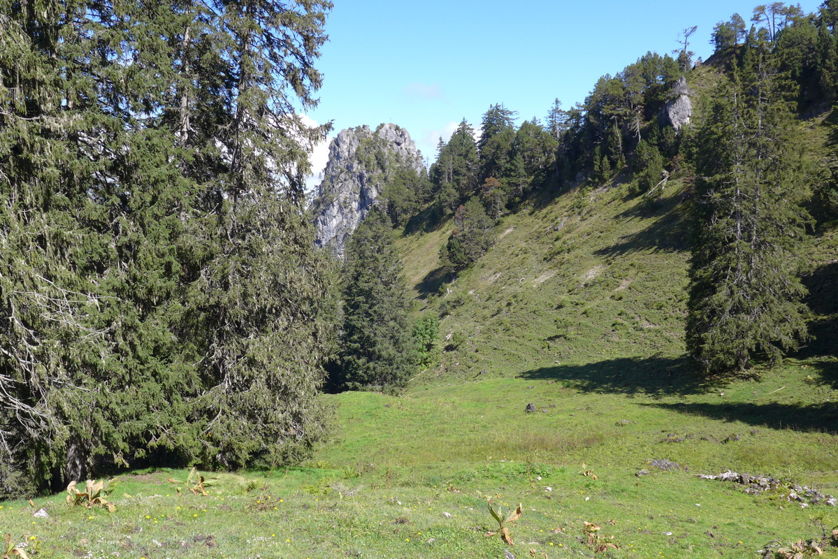 p1000965.jpg