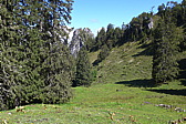 p1000965.jpg