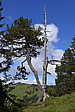 p1000969.jpg