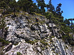 p1000969b.jpg