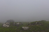 p1000985.jpg
