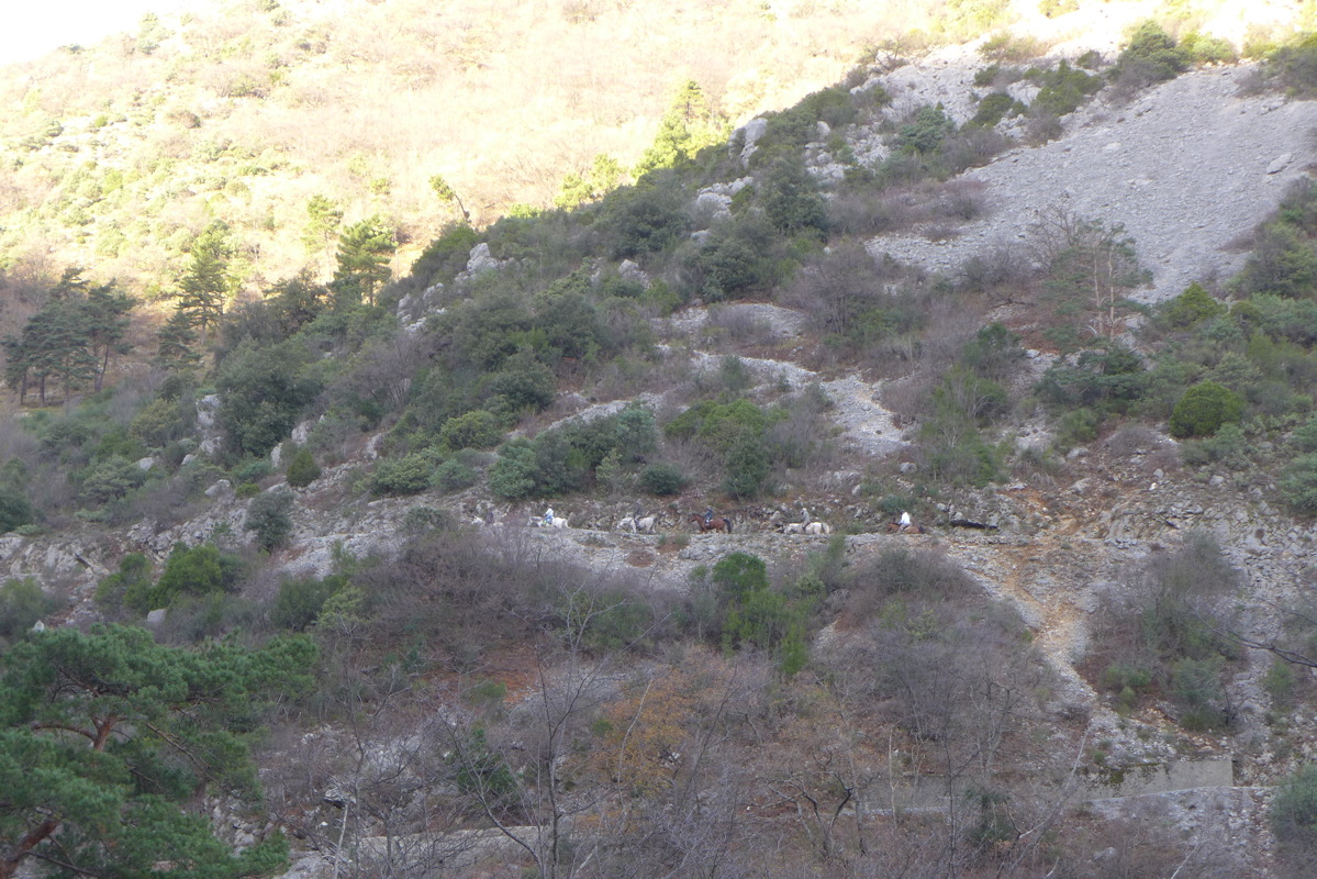p1030691.jpg