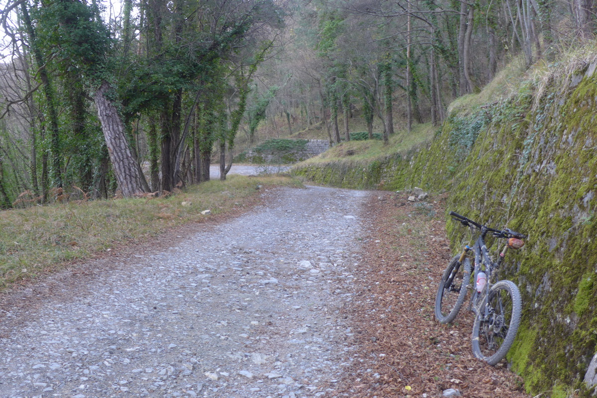 p1030692.jpg