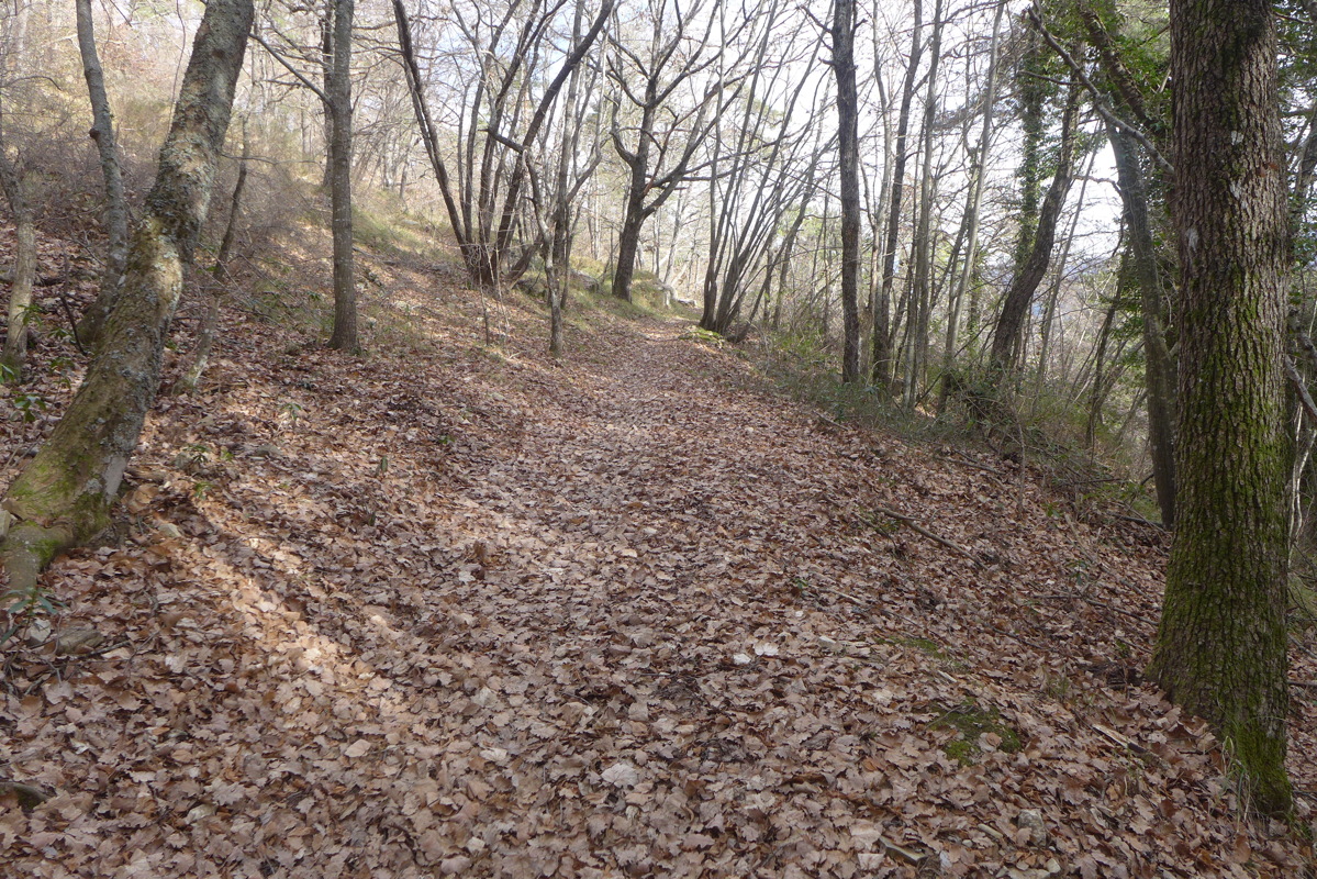p1030699.jpg