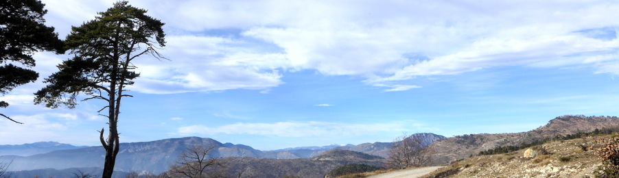 Header