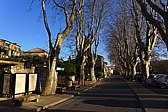 p1030555.jpg