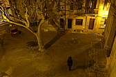 p1030575.jpg