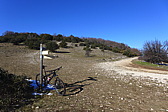 p1030602.jpg