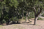 p1030621.jpg