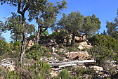 p1030623.jpg