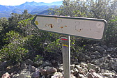 p1030631.jpg