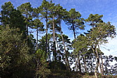 p1030634.jpg