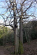 p1030641.jpg