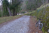 p1030692.jpg