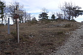 p1030696.jpg