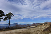 p1030697.jpg