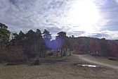 p1030698.jpg